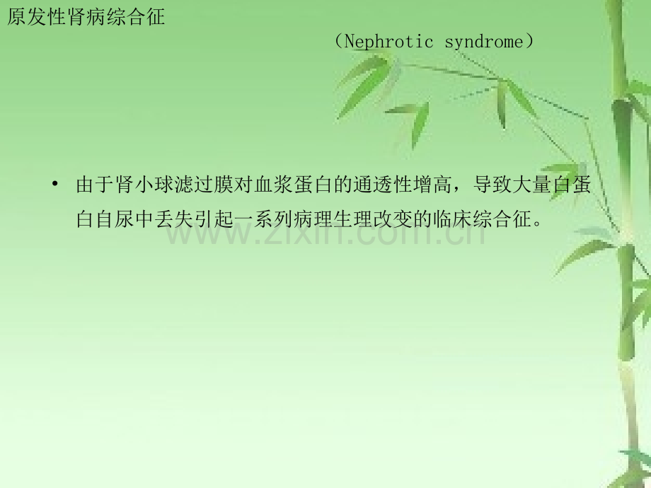 肾病综合征患儿的护理ppt.ppt_第1页