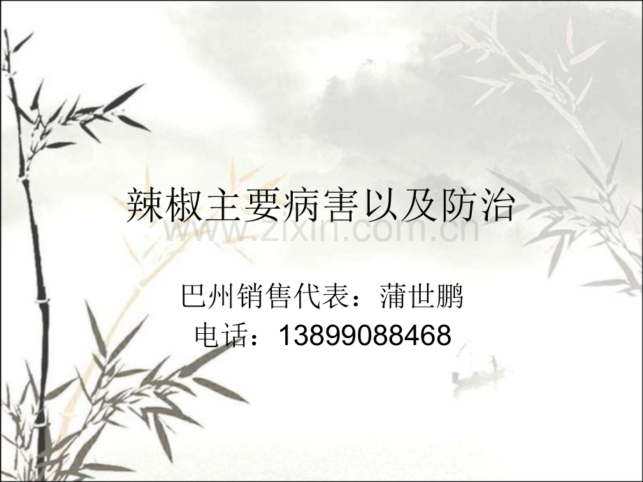 辣椒主要病害以及防治ppt.ppt_第1页