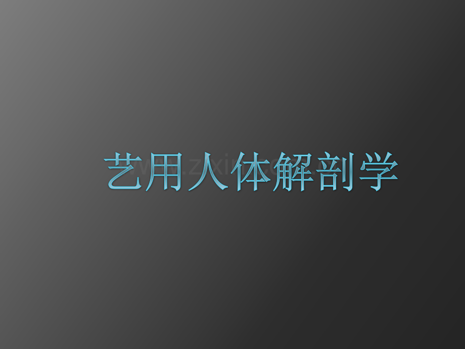 艺用人体解剖学ppt.ppt_第1页