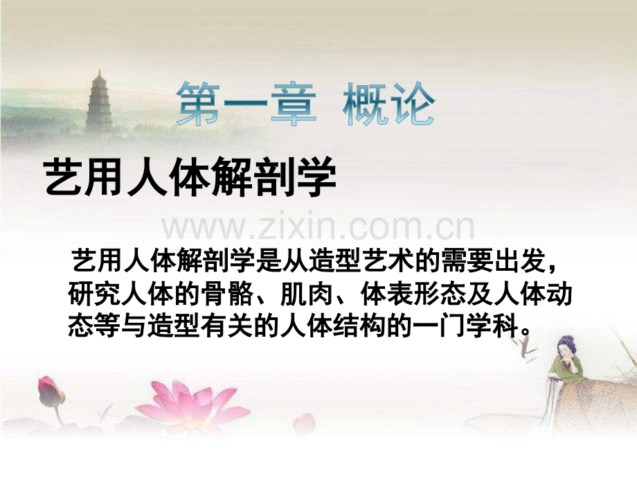 艺用人体解剖学ppt.ppt_第2页