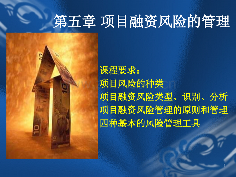 金融融资投资股权证劵之项目融资风险的管理.ppt_第1页
