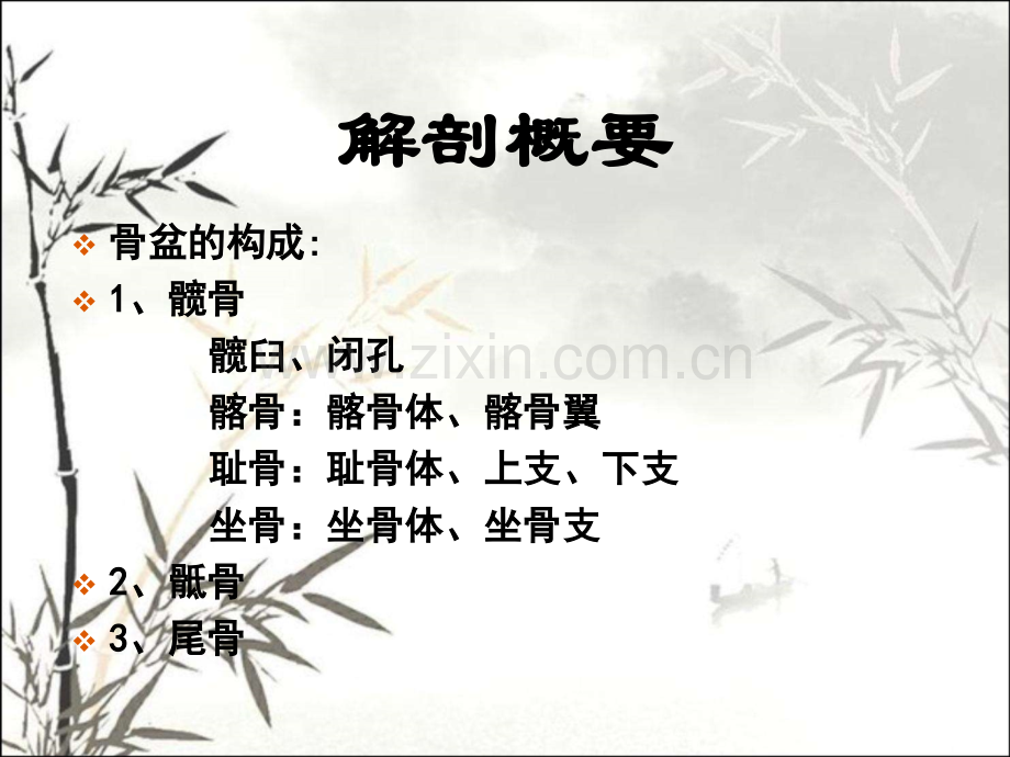 骨盆骨折手术配合及相关知识ppt.ppt_第2页