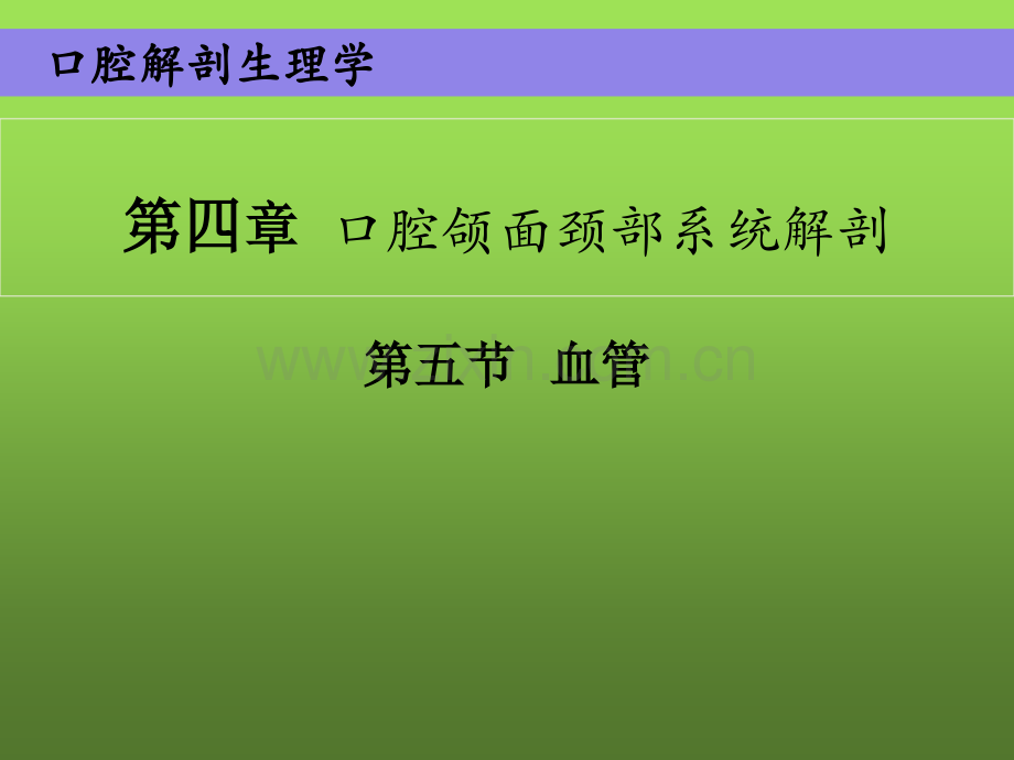 口腔颌面颈部系统解剖-动脉-PPT.ppt_第2页
