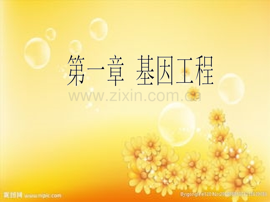基因工程的原理和技术.ppt_第1页
