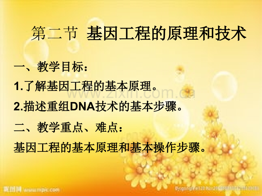 基因工程的原理和技术.ppt_第2页