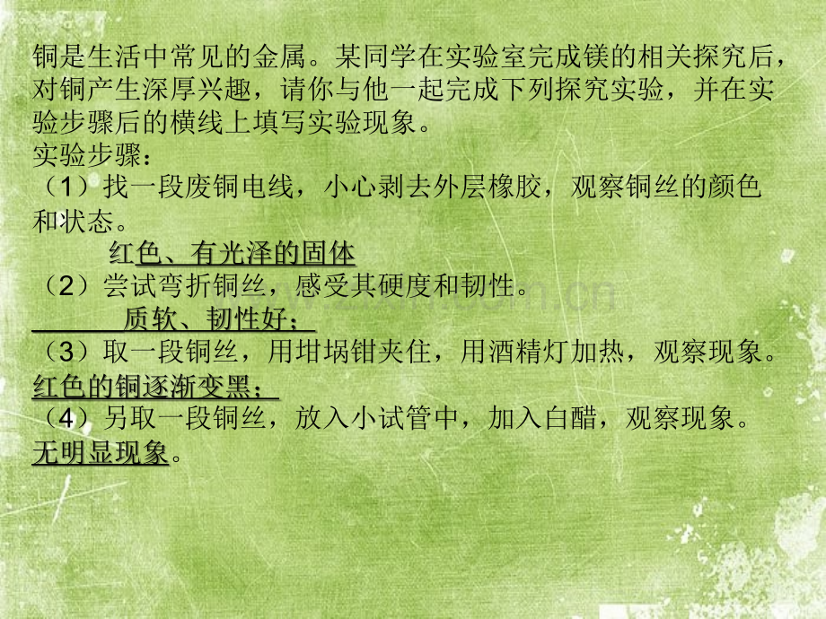 学习化学需要使用化学符号ppt.ppt_第2页