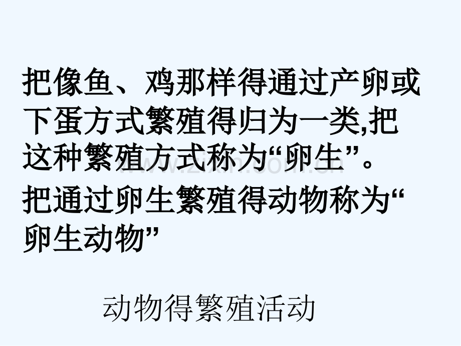 四年级科学下册动物的繁殖活动-PPT.pptx_第2页