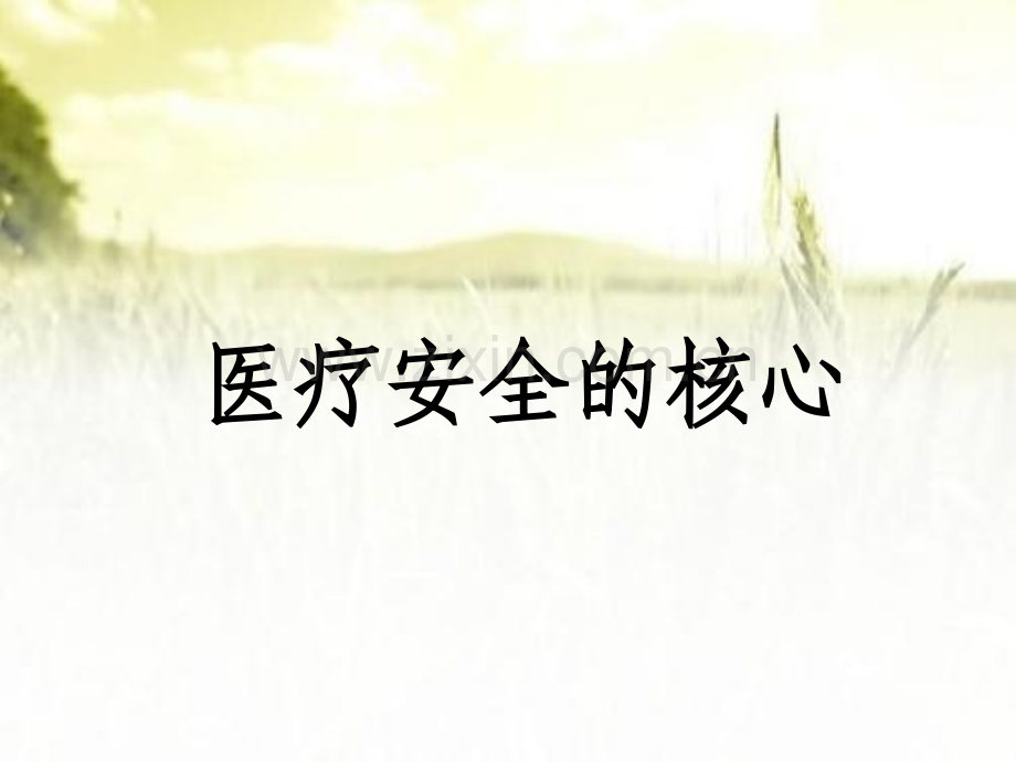 医疗安全知识培训ppt.ppt_第1页