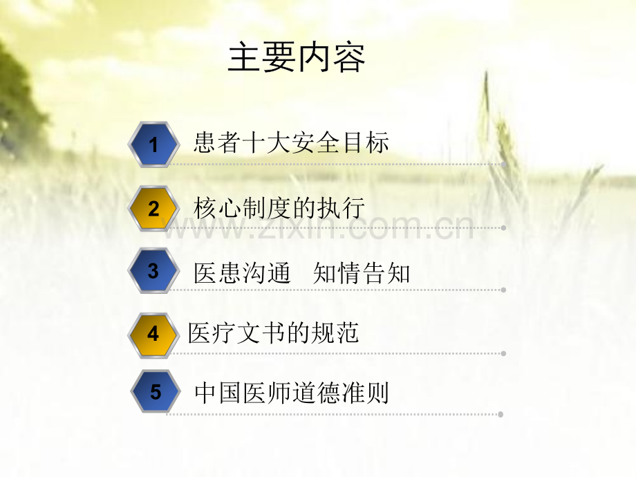医疗安全知识培训ppt.ppt_第2页