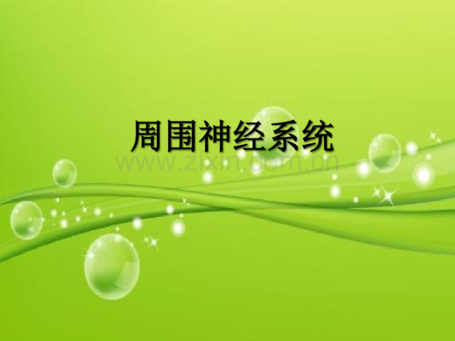 脊神经解剖-PPT.ppt_第1页