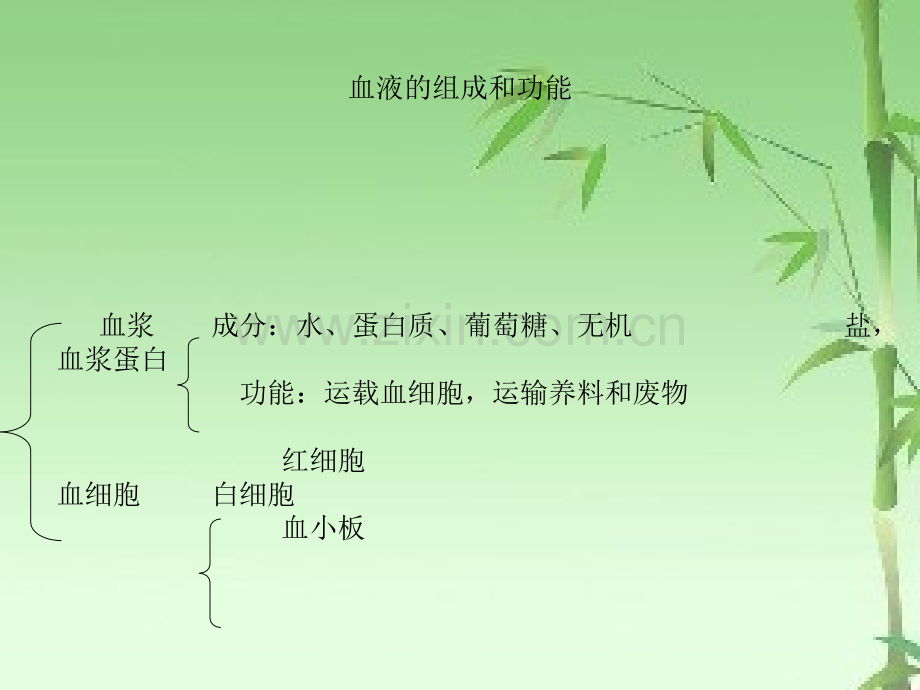 血液的组成和功能ppt.ppt_第1页