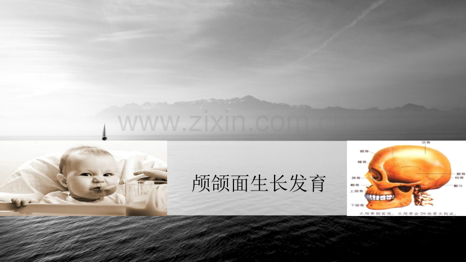 颅颌面生长发育.ppt_第1页