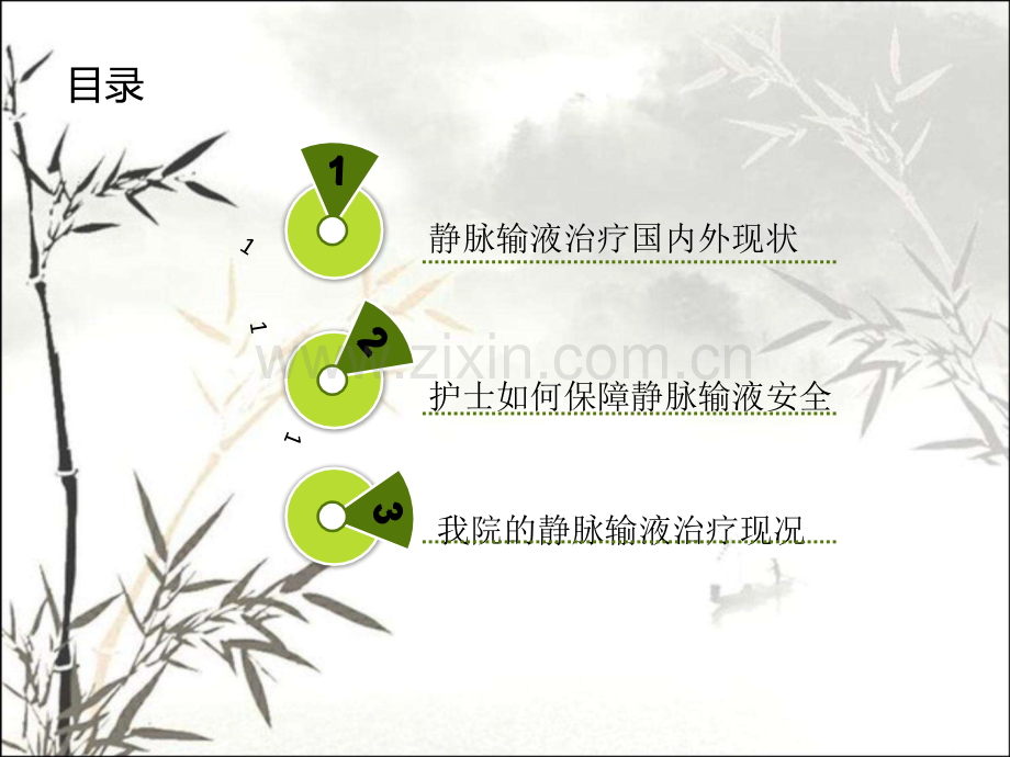 静脉输液安全管理ppt.ppt_第2页