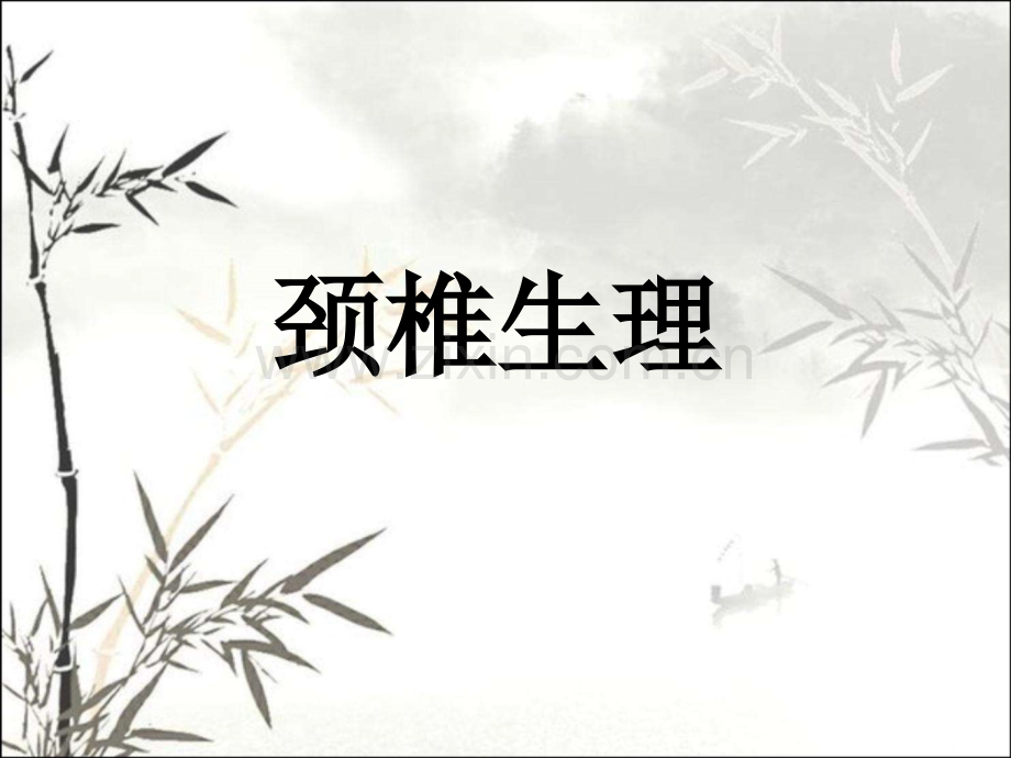 颈椎病的解剖与推拿ppt课件.ppt_第1页