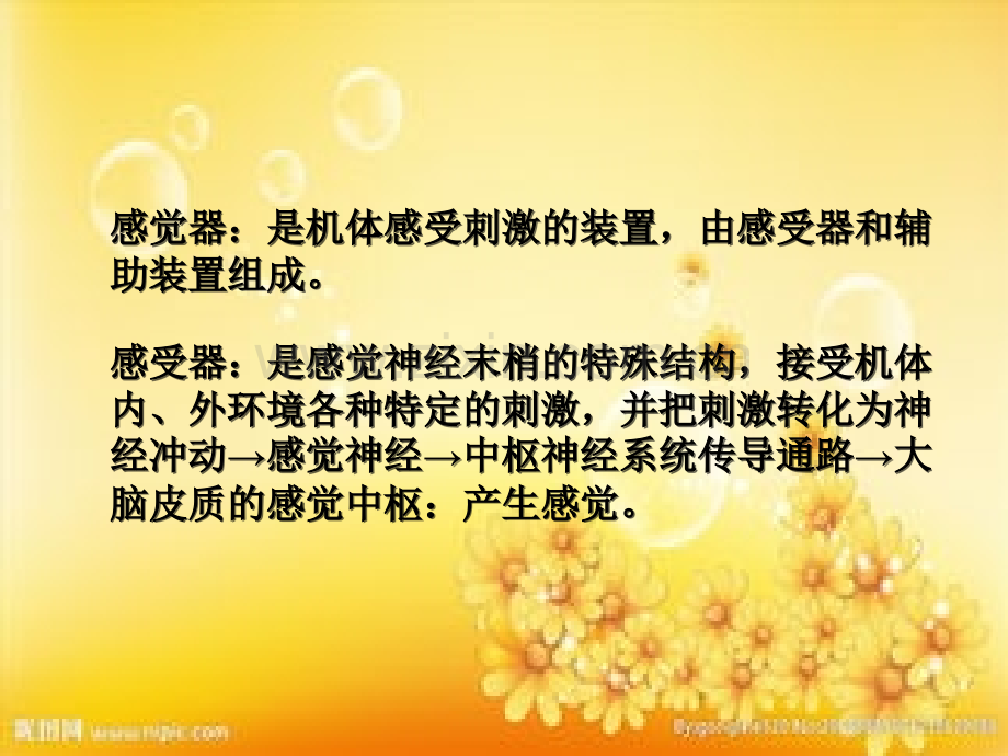 眼睛结构详细图解ppt.ppt_第2页