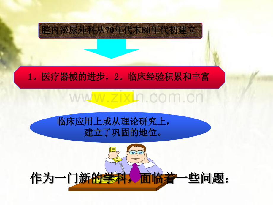 PCNL并发症的预防和处理ppt.ppt_第2页