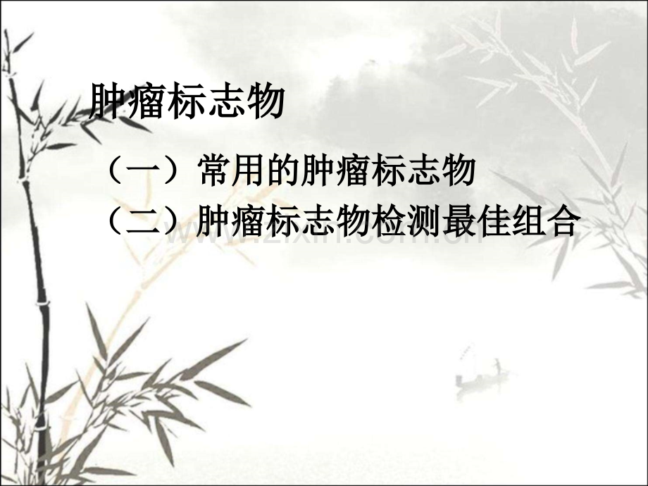 常用肿瘤标志物及组合ppt.ppt_第2页