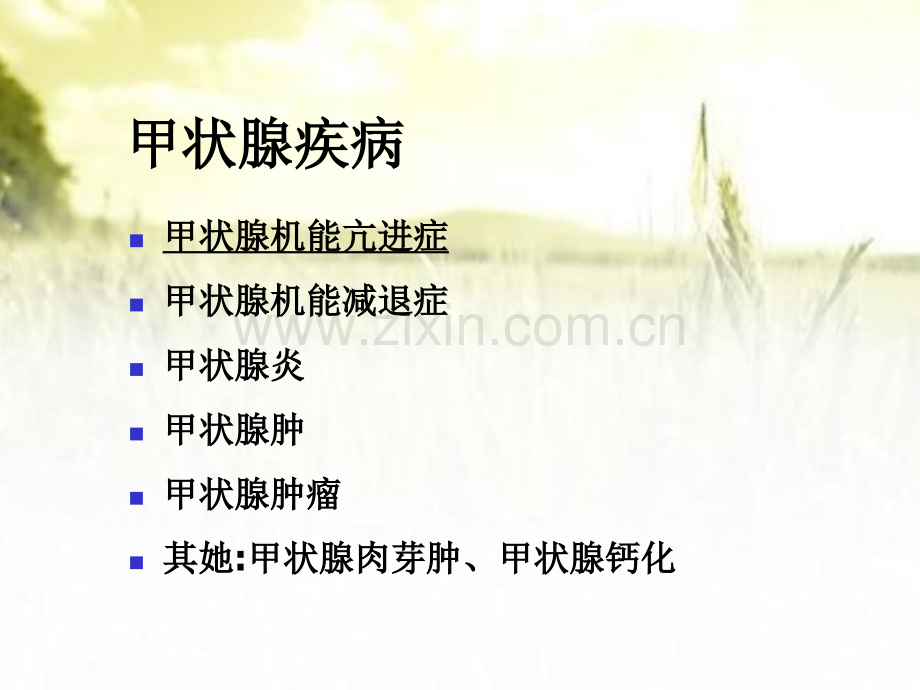 甲状腺功能亢进症新版最简版.pptx_第2页
