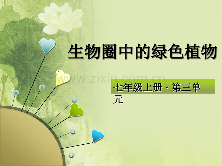 生物圈中的绿色植物复习课课件要点.ppt_第1页