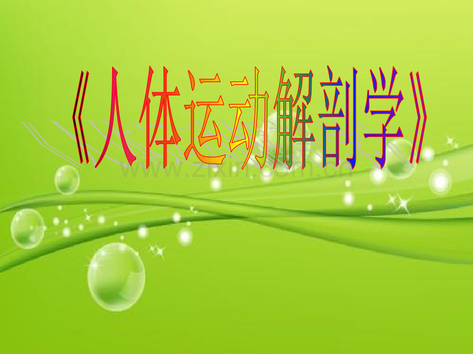 瑜伽人体解剖学课件-PPT.ppt_第2页