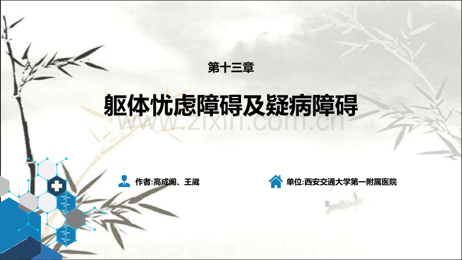 第十三章躯体忧虑障碍及疑病障碍.pptx_第2页