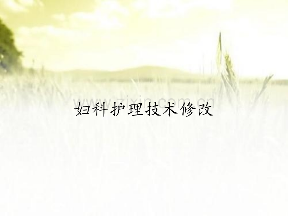 妇科护理技术修改.pptx_第1页