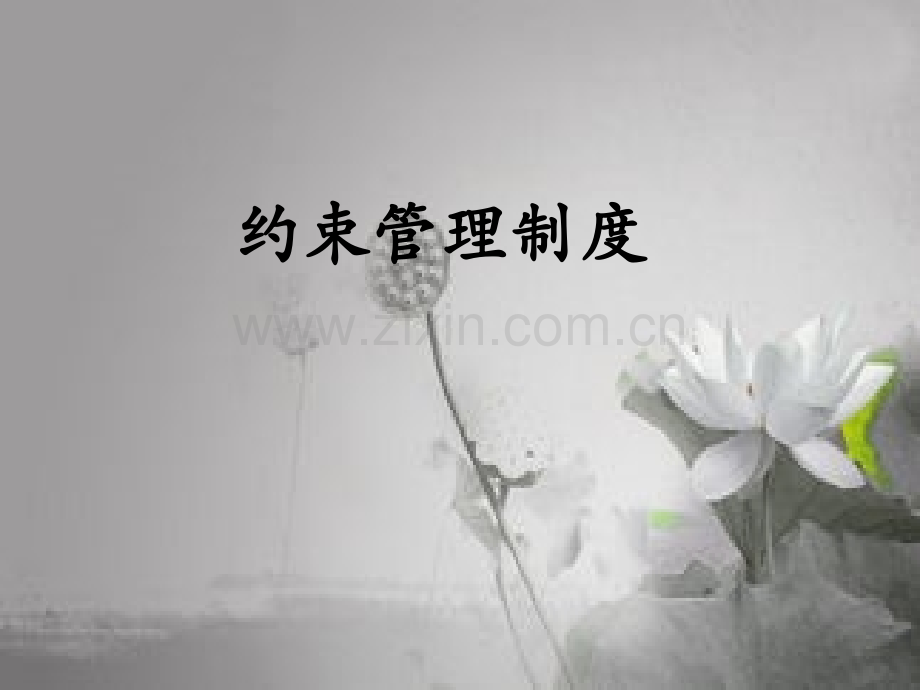约束管理制度-PPT.ppt_第1页