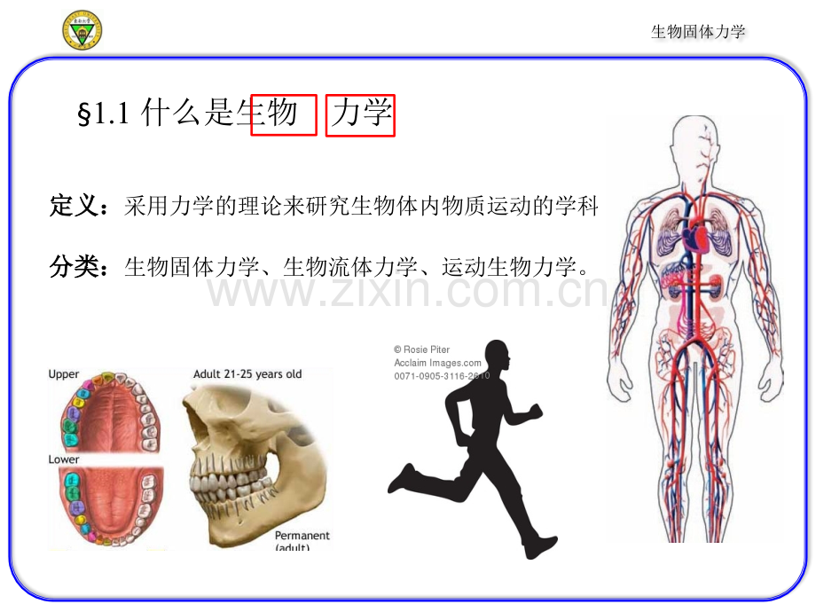 生物固体力学.ppt_第2页