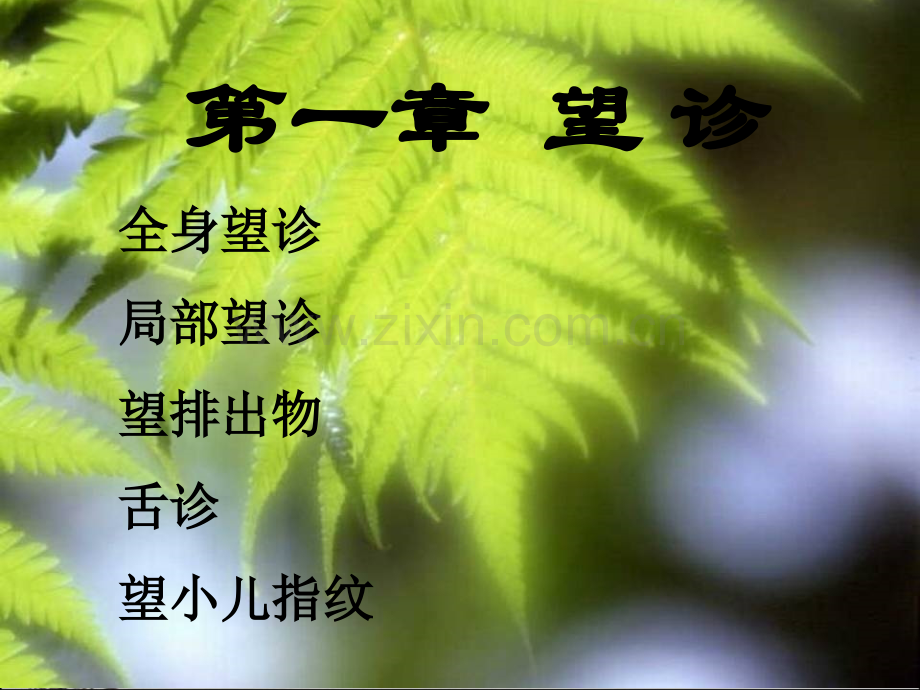 中医四诊课件ppt.ppt_第2页