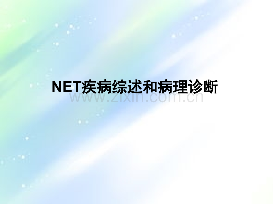 NET疾病综述和病理诊断-PPT.ppt_第1页