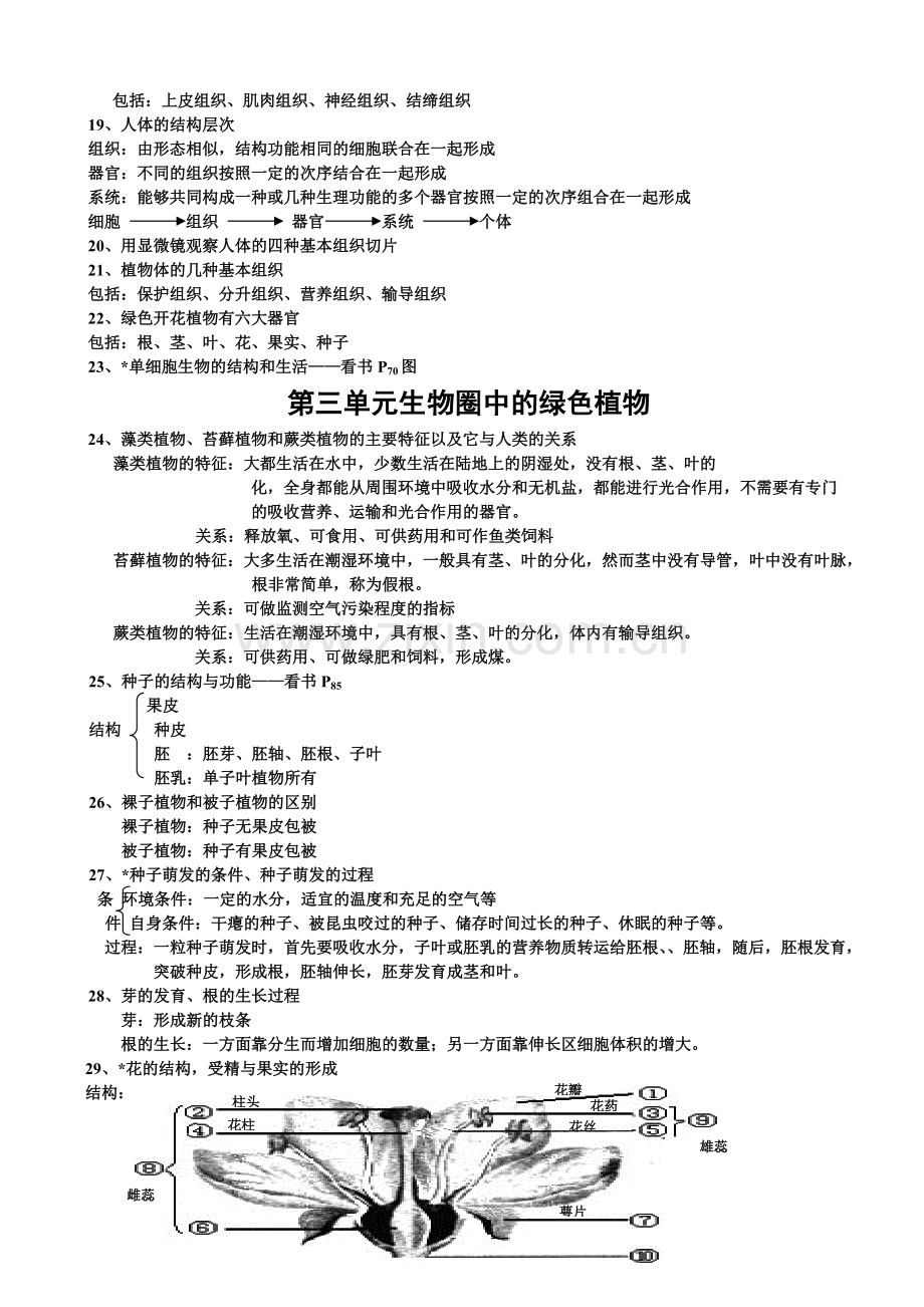 初中生物知识点总结(2).pdf_第2页