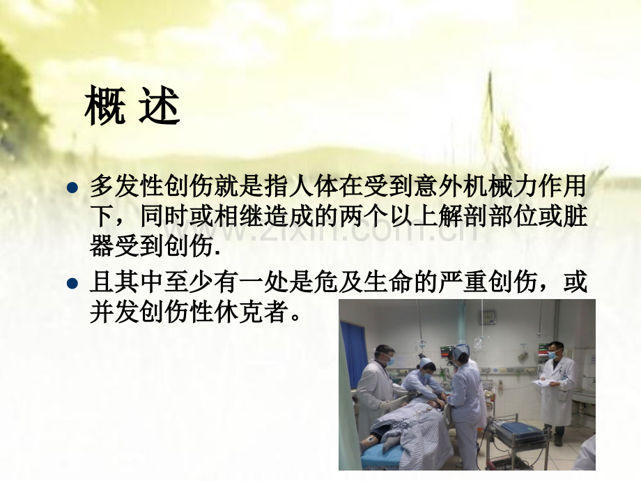 多发伤的观察要点及并发症的预防ppt.ppt_第2页