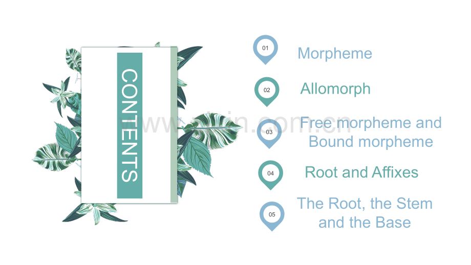 Morpheme.ppt_第2页