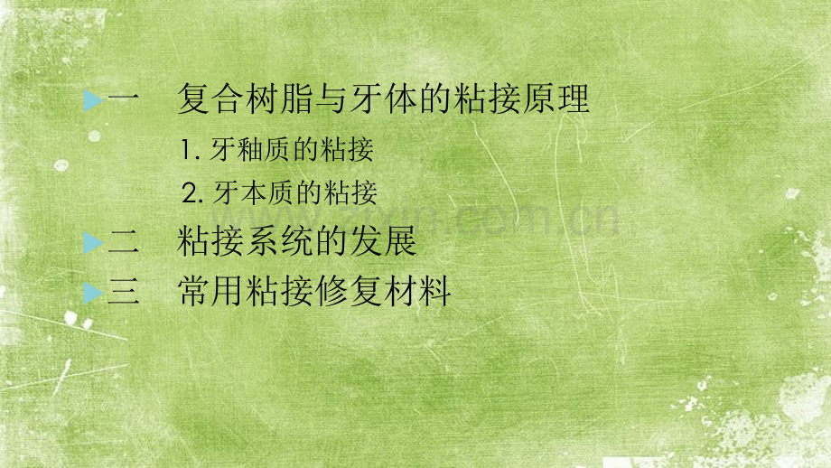 口腔粘接机制ppt.ppt_第2页
