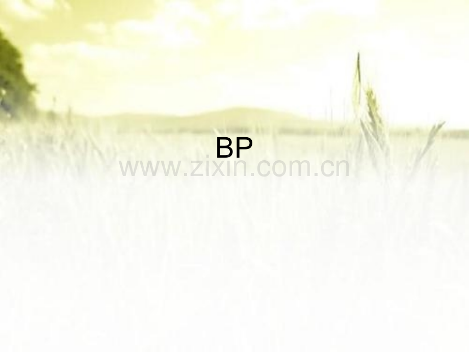 bp辩论规则介绍ppt.ppt_第1页