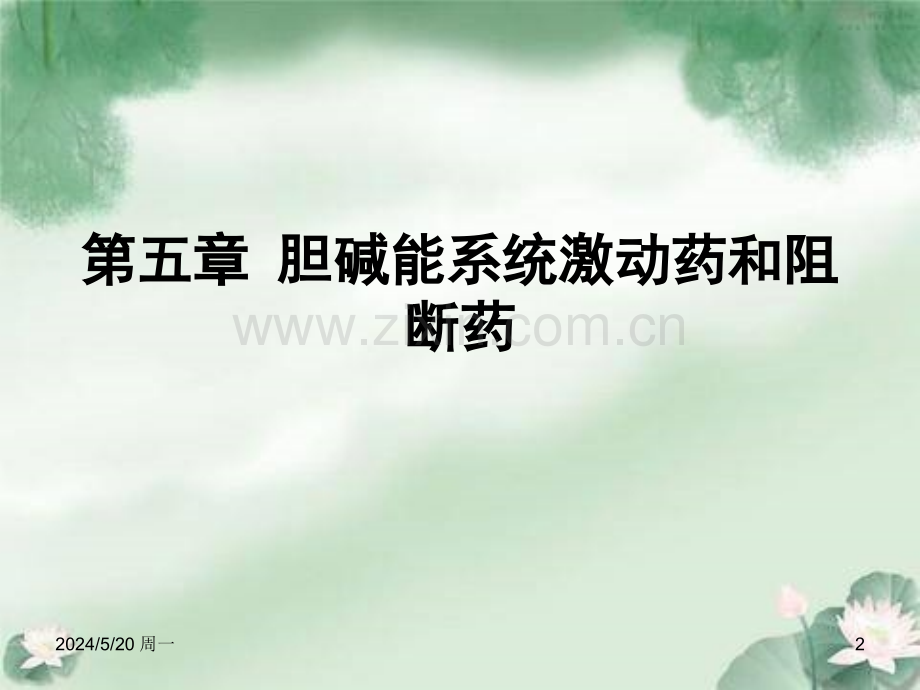 胆碱能系统激动药及阻断药-PPT.ppt_第2页
