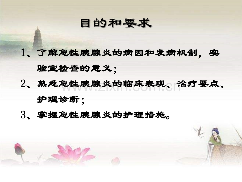急性胰腺炎及护理措施-PPT.ppt_第2页