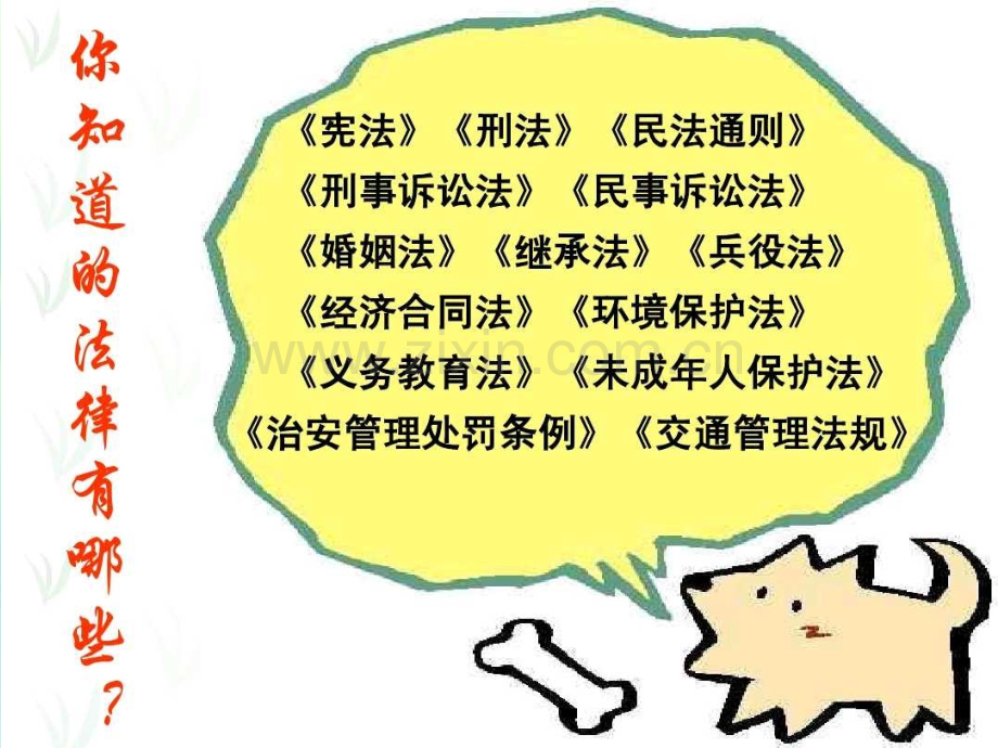 普法教育主题班会-PPT.ppt_第2页