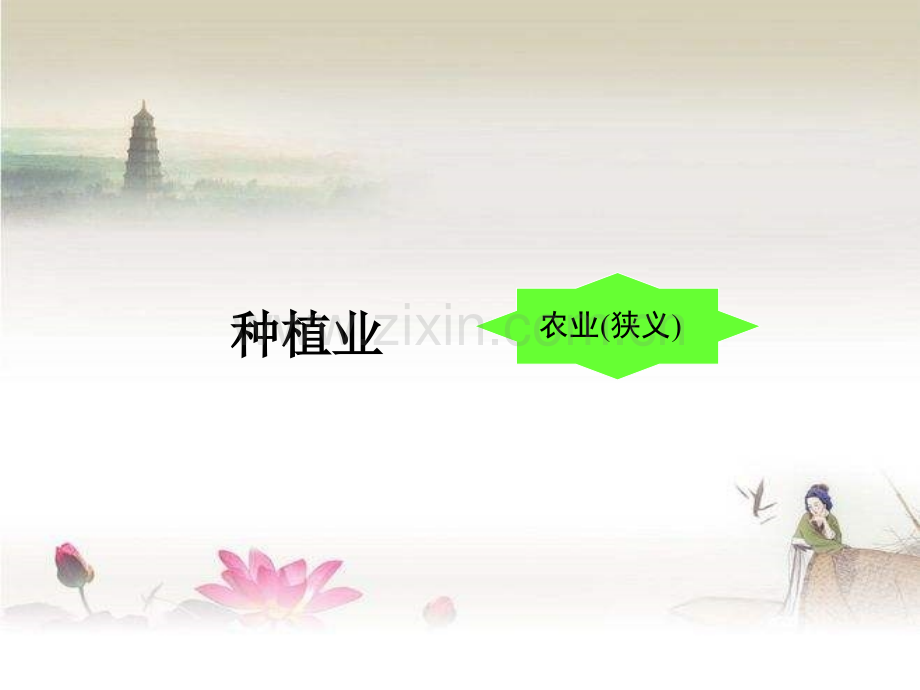 八年级地理上册《农业》课件-PPT.ppt_第2页