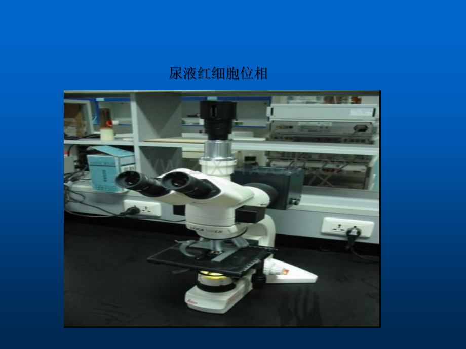 尿液红细胞位相ppt.ppt_第1页