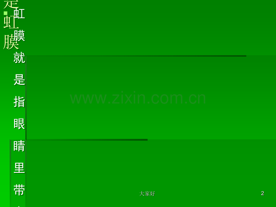 初级虹膜培训.ppt_第2页