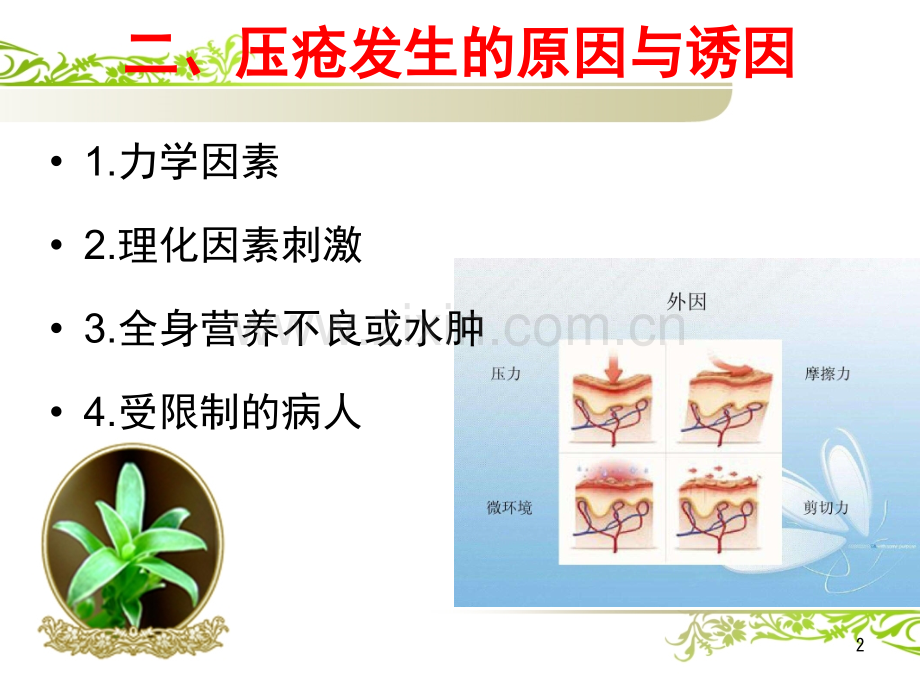 压疮的预防及护理-.pptx_第2页