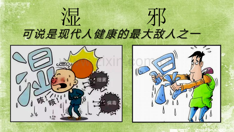 体内有湿气ppt.ppt_第1页