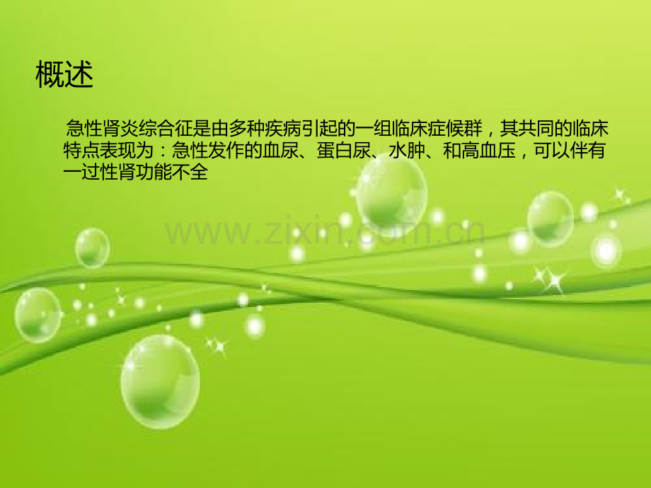 急性肾炎综合征-PPT.ppt_第2页