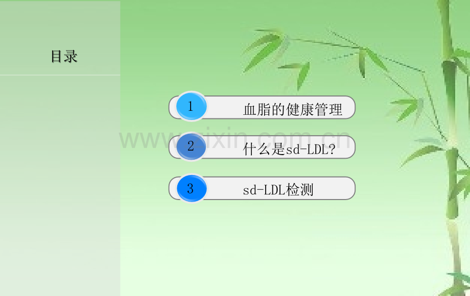 小而密低密度脂蛋白的临床应用ppt.ppt_第2页
