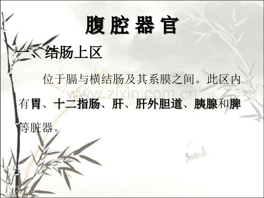 胃的解剖ppt课件-(2).ppt_第1页