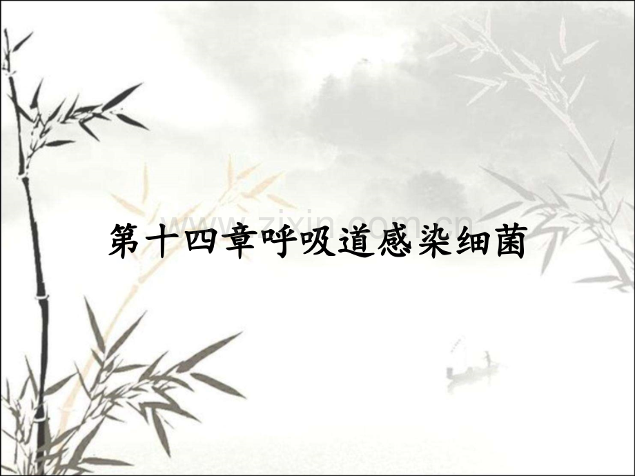 第十四章呼吸道感染细菌.pptx_第1页