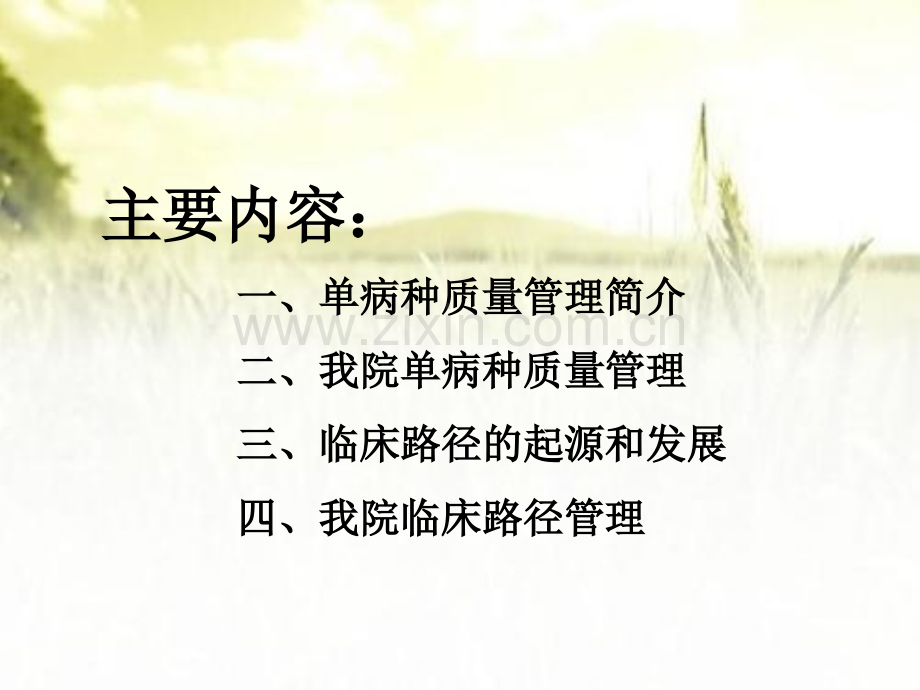 单病种与临床路径课件ppt.ppt_第2页