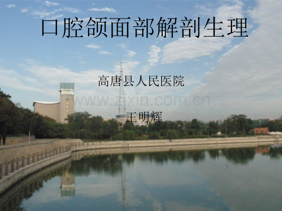 第一章口腔颌面部解剖生理PPT.ppt_第1页