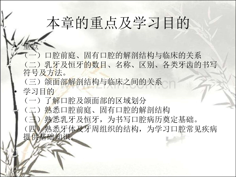 第一章口腔颌面部解剖生理PPT.ppt_第2页
